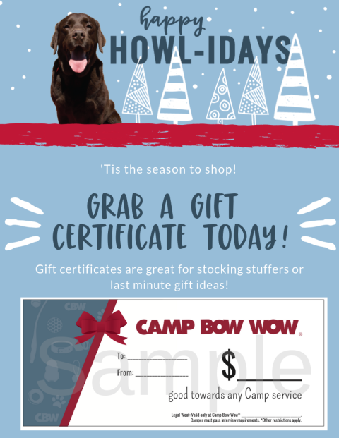 Holiday Gift Certificate Promo